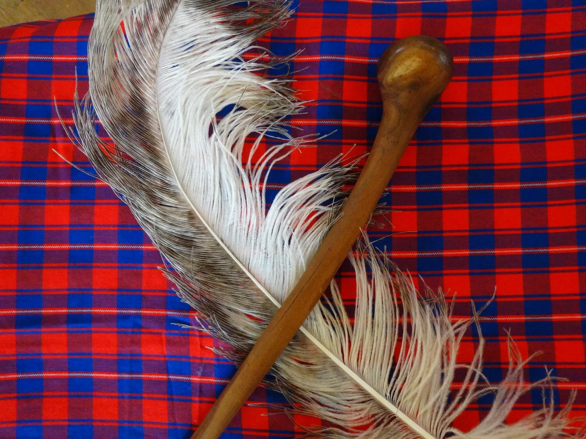 Leaders Circle Kenya - ostrich feather and rungu
